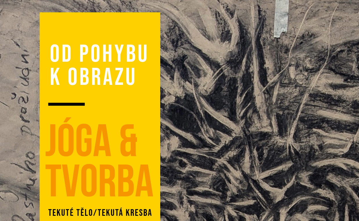 Workshop: Od pohybu k obrazu